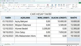 cari hesap ve gelir-gider tablosu hazırlıyorum