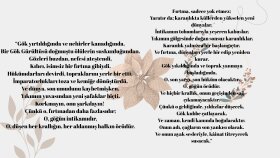 akademik, yaratıcı içerik yazarlığı ve çevirmenlik yaparım