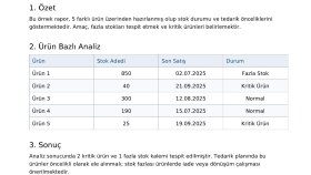 Stok Analizi Raporu