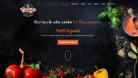 Çaşnigir Lezzetçi Başı - Website Tasarımı ve Kodlaması
