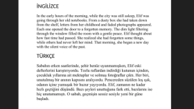 İngilizce çeviri yapabiliyorum