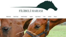 Filibeli Harası -Web Tasarımı