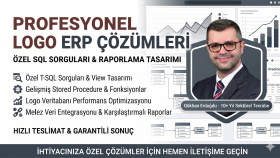 Logo ERP için özel SQL sorguları ve raporlar hazırlarım