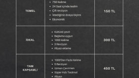 profesyonel ingilizce-türkçe çeviri hizmetleri verebilirim