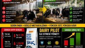 tarım-hayvancılık alanında sosyal medya içerik hazırlıyorum