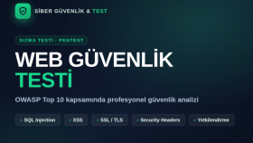 web uygulamana sızma testi yapıp açıkları raporlarım