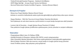 yazılım konusunda işlerinizi profosyenelce yaparım