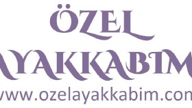 Diğer İnternet Reklamcılığı