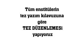 Tez Düzenlemesi