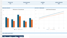 Excel dashboard ve profesyonel raporlama sistemi hazırlarım