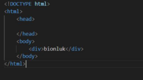 kurumsal düzeyde web sayfaları yaparım