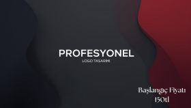 profesyonel logo tasarımı yapabilirim