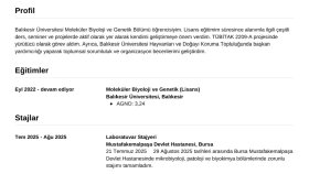 işe alım odaklı CVler tasarlarım