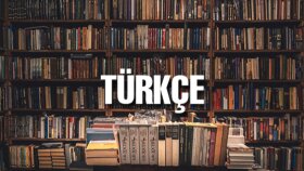 Türkçe yazılarda dilbigisi ve anlam kontrolü yaparım