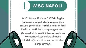 Sosyal Medya Bilgi Serisi