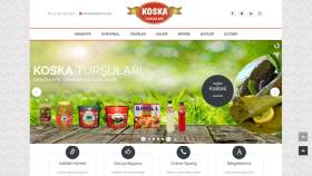 Web Tasarım