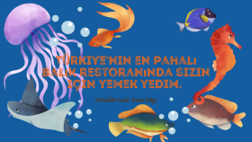 satışlar ve çalışmalarım