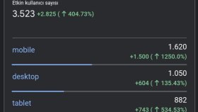 Organik Web Trafik