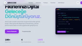 kısa sürede profesyonel anahtar teslim web sitesi hazırlarım