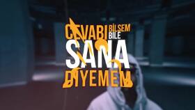 profesyonel kinetik tipografi videoları hazırlayabilirim
