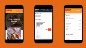 Web Sitesi ve Admin paneli