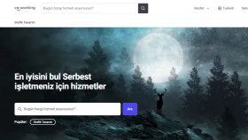 freelance hizmetleri ve projeler platformu yapabilirim