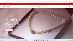 şahsınıza veya şirketinize ait şık website yapabilirim