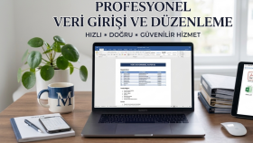 hızlı veri girişi ve editoryal kontrol yaparım