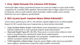 SEO Uyumlu Blog Yazısı Örneği – İçerik Çalışması