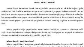 profesyonel web içeriği yazarım
