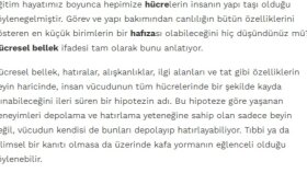 online platformlar için içerik üretebilirim