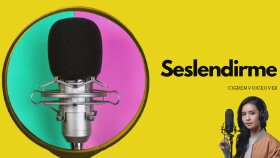 profesyonel seslendirme hizmeti veriyorum