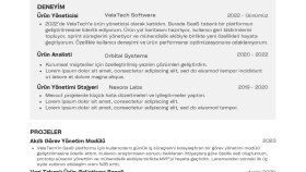 Fotoğrafsız Temel CV Örneği