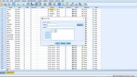 spss programı kullanarak veri analizi yaparım