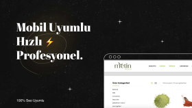 Web Tasarım