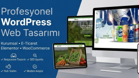 modern ve profesyonel WordPress web siteleri tasarlarım