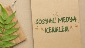 Sosyal medya içerik & makale türleri