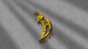  istediğiniz tarzda logoyu tasarlayabilirim