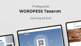 profesyonel ve SEO uyumlu WordPress web siteleri yapıyorum