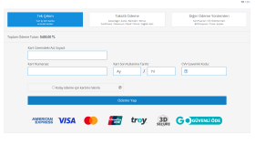 online ödeme entagrasyonu yapabilirim
