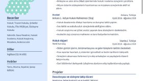 profesyonel CV ve özgeçmiş hazırlarım