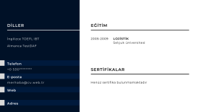 CV hazırlıyorum