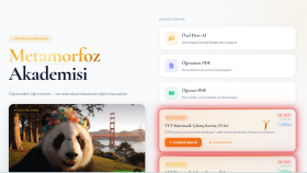 sana özel profesyonel bir web sitesi kurabilirim