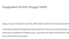 istediğiniz konularda  ve istenilen şekilde yazabilirim