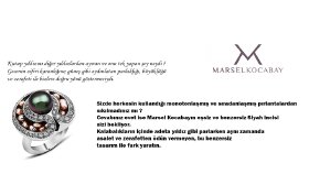 Web Sitesi İçeriği