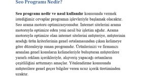 Seo Programı Nedir?