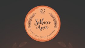 markanı etkili ve sade bir logo ile anlatırım