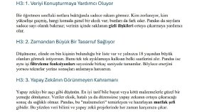 SEO Makale Örneği: Python Pandas ile Veri Analizi