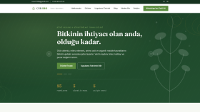 isteğe uygun website