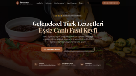 her türden internet sitenizi profesyonel bir şekilde yaparım